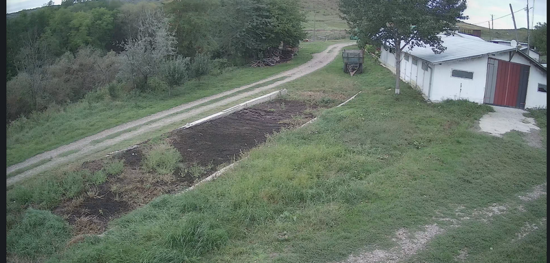 Dorohoi, Botosani,