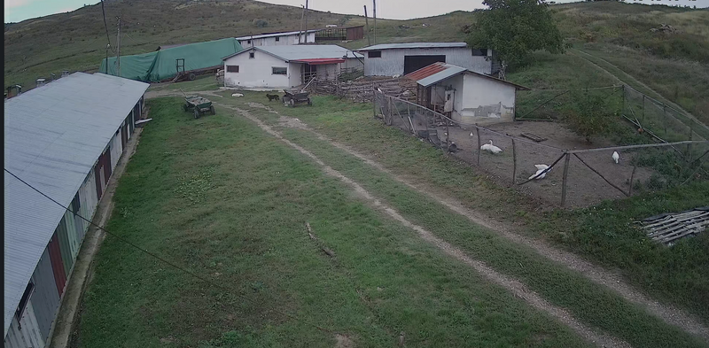 Dorohoi, Botosani,